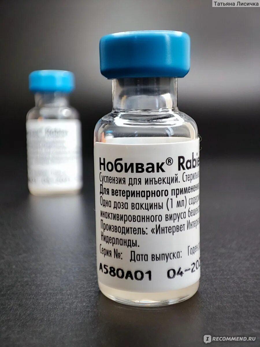 Вакцина nobivac. Nobivac DHPPI. Нобивак DHPPI + Rabies вакцина для собак. Чума вакцина. Нобивак DHPPI для собак.