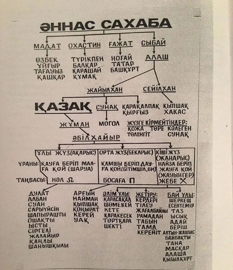 Кіші жүз ханы. Родовое Древо казахов. Шежире казахов старшего жуза. Казахский род Табын. Найман орта жуз.