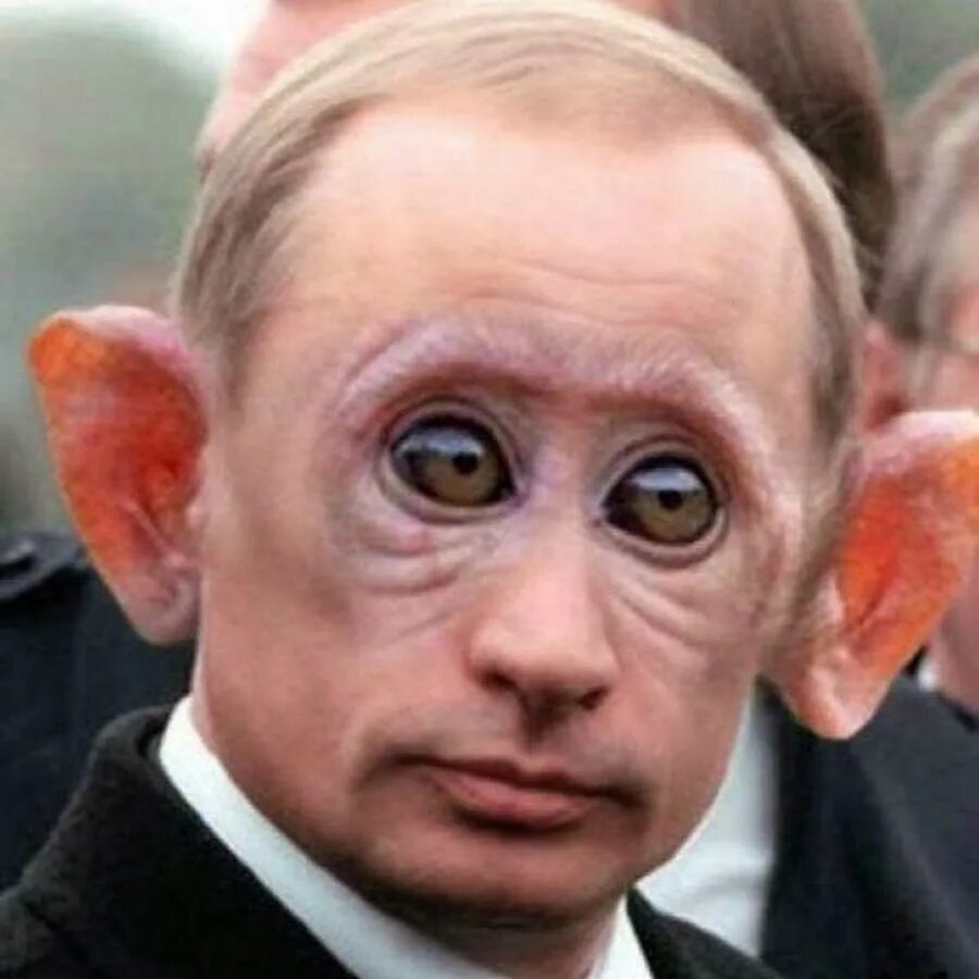 Фомин алексей григорьевич генерал. Ким чен путин. Блеать. И ничего святого поганый человек. Стикеры с немцами.