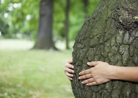 Tree look