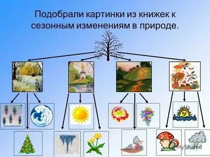 Осень сезонные изменения в природе подготовительная группа