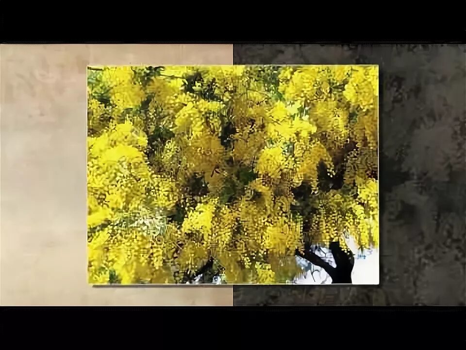 Композиция с мимозой. Мимоза песня слушать. Мимоза песня слушать. Мимоза песня слушать. Мимоза на голове.