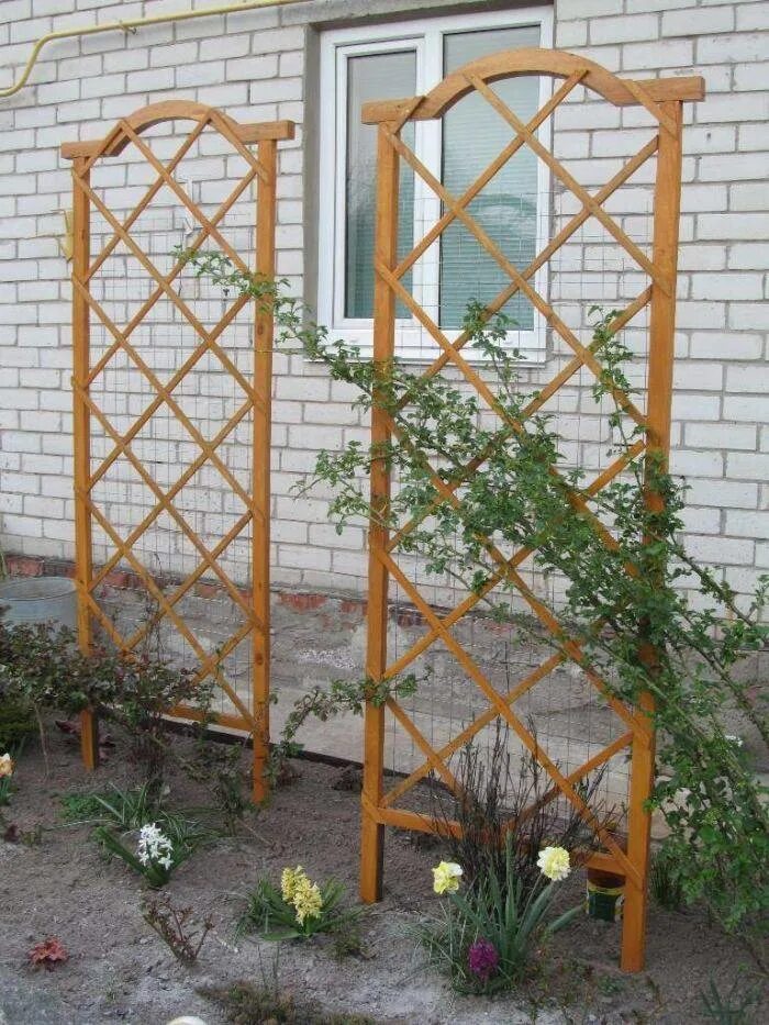 Для вьющихся растений своими руками. Шпалера "суперсетка". Клематис на шпалере. Шпалеры перголы для вьющихся растений. Шпалера пергола для клематиса.