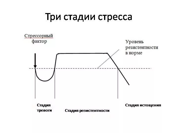 Стадии стресса по г селье. 3 Стадии стресса Селье. Стадии развития стресса Селье. Схема стресса Селье. Стадии развития стресс реакции.