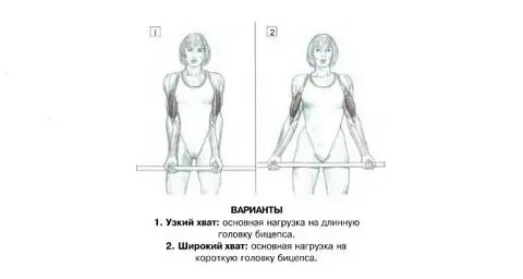 Нормативы экстремальный подъем на бицепс для мужчин