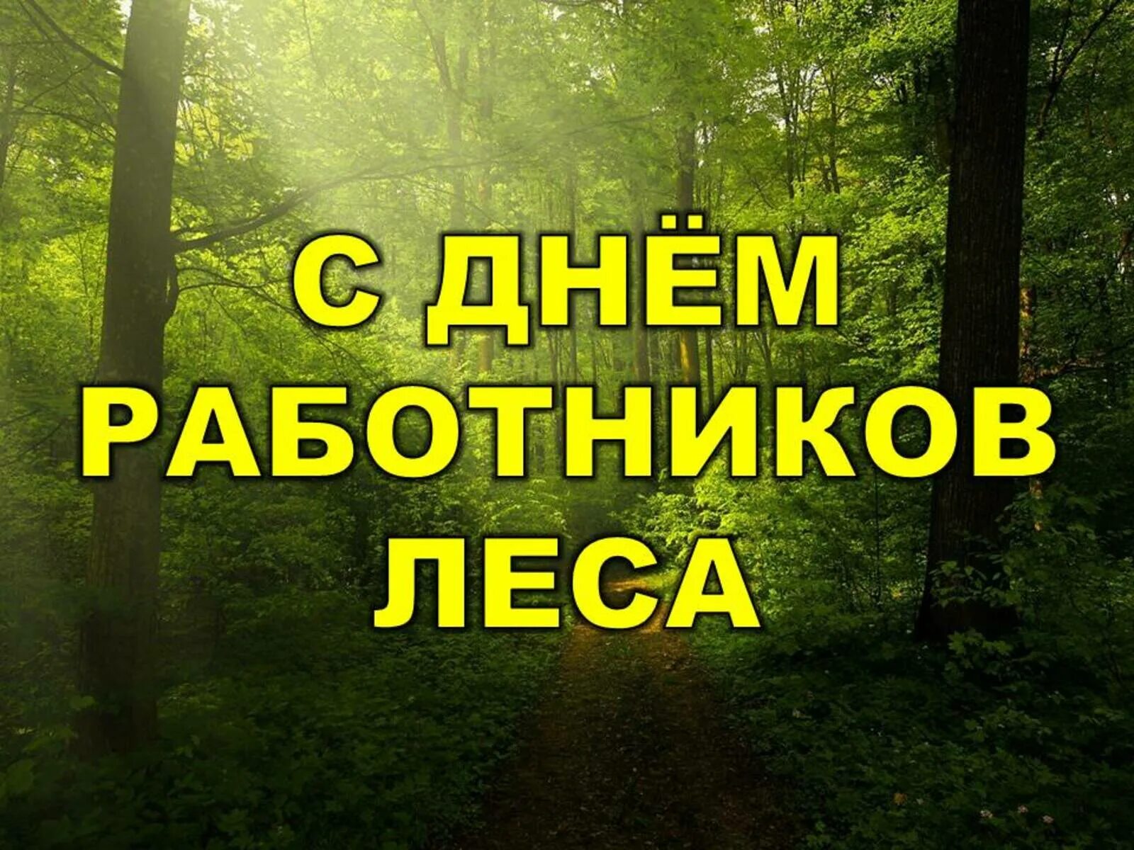 День работника леса. С днем работника леса. день работников леса и лесоперерабатывающей промышленности. с днем лесной промышленности. с днем работника лесного хозяйства.