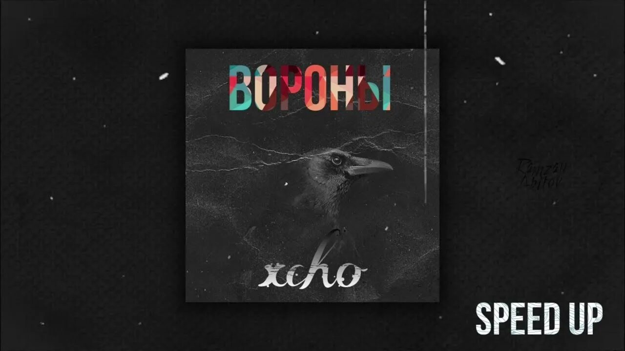Хсно вороны. Xcho вороны. Новокаледонская ворона. Ворона арт. Хсно вороны.