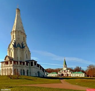 Парк коломенское можно ли с собаками