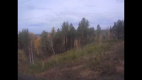Нижнеудинск алзамай