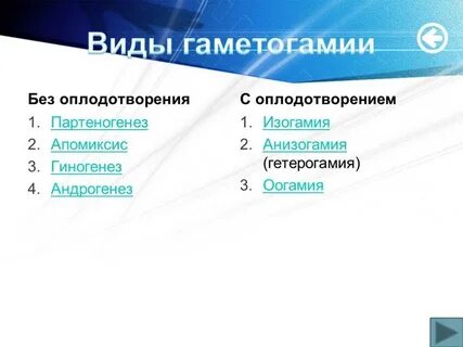 Андрогенез это в биологии