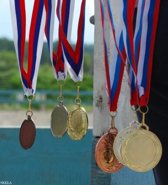 4 medals. Медали по конному спорту. Спортивные кубки и медали. Медаль пок онному СРОРТУ. Спортивные медали по конному спорту.