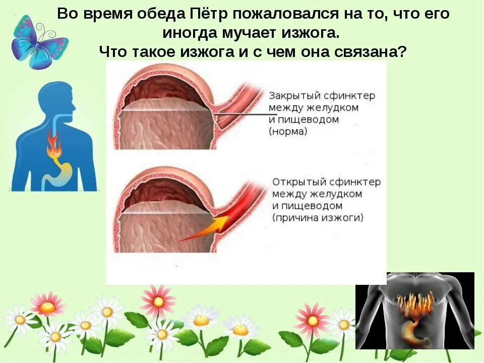 Почему может быть изжога. От чего проявляется изжога. С чего появляется изжога. Почему возникает изжога.