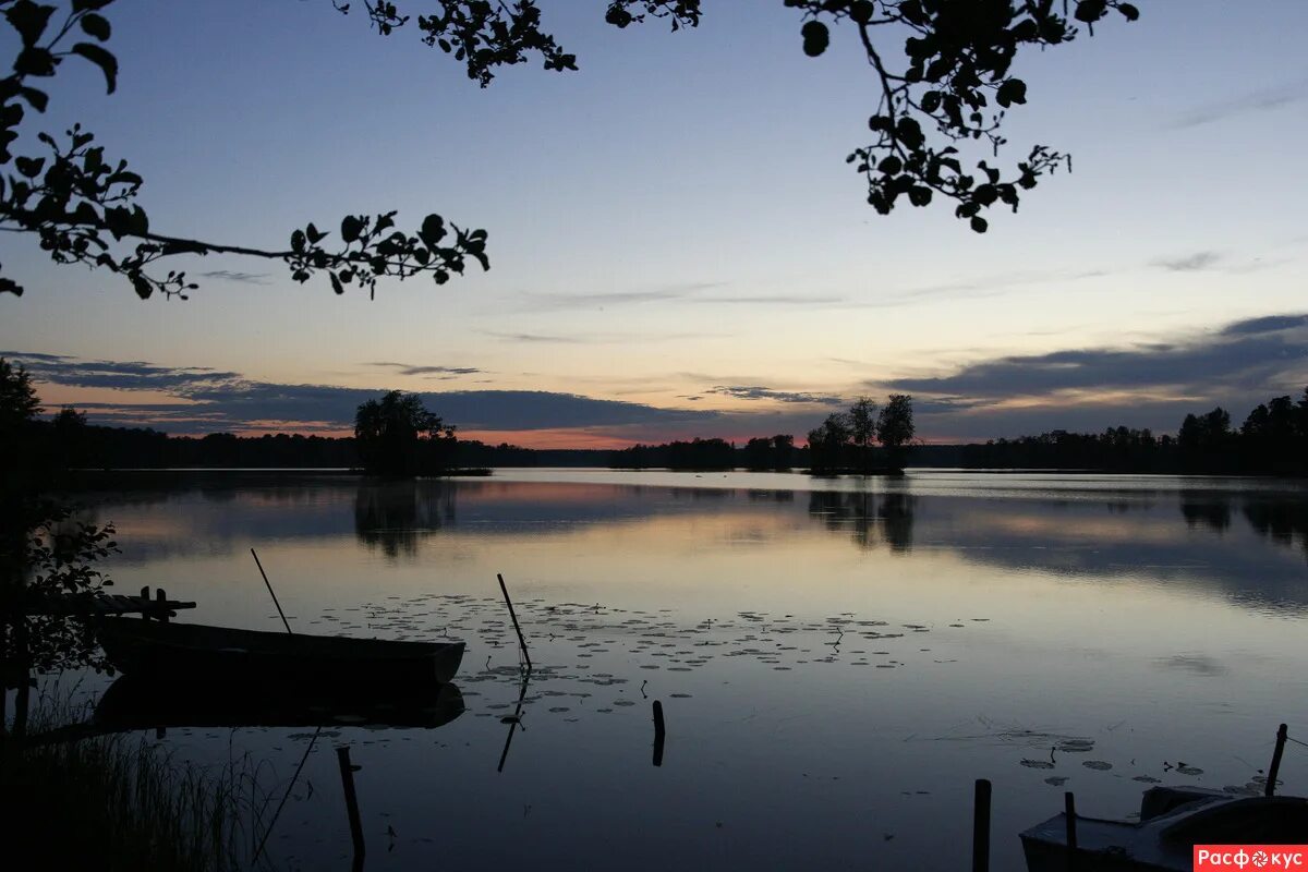 санаторий белые ночи санкт-петербург. санаторий белые ночи. лето в карелии белые ночи. санаторий белые ночи сестрорецк. санаторий белые ночи сестрорецк.