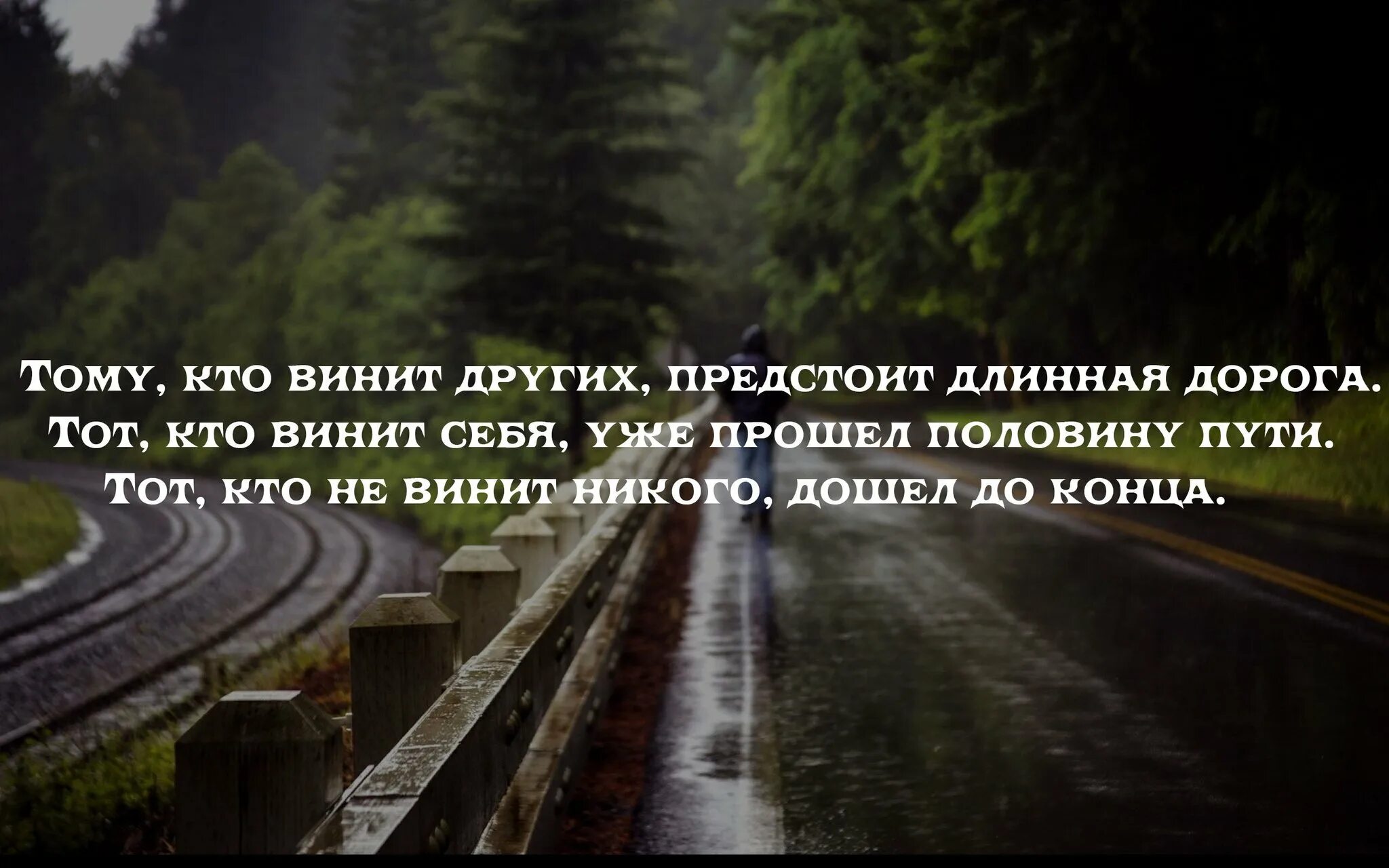 Не смотря на ту дорогу. Винить других цитаты. Тому кто винит других предстоит длинная дорога. Статус про длинную дорогу. Других в своих бедах винит.