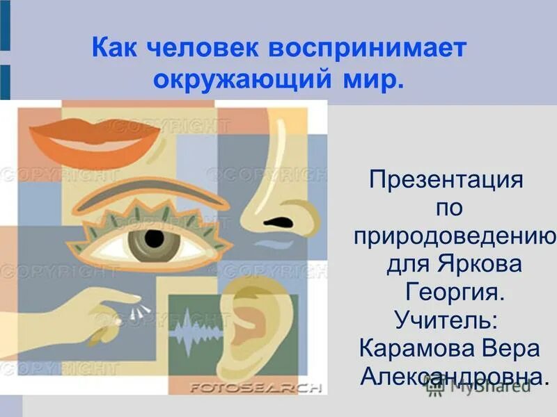 Как человек воспринимает мир. Как люди воспринимают людей. Как человек воспринимает окружающий. Как человек воспринимает окружающий мир. Как человек воспринимает окружающий мир.