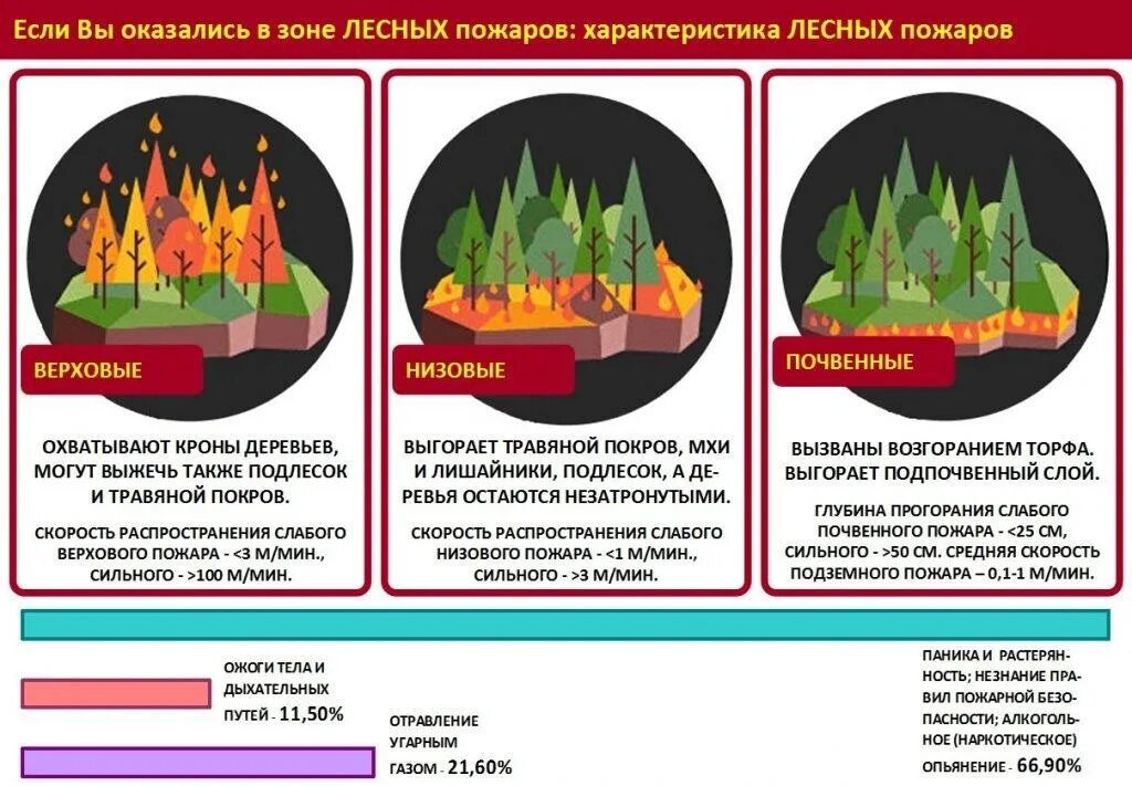 Верховые низовые подземные. Виды лесных пожаров. Действия при Лесном пожаре. Лесные пожары правила поведения. Безопасность при лесных пожарах.