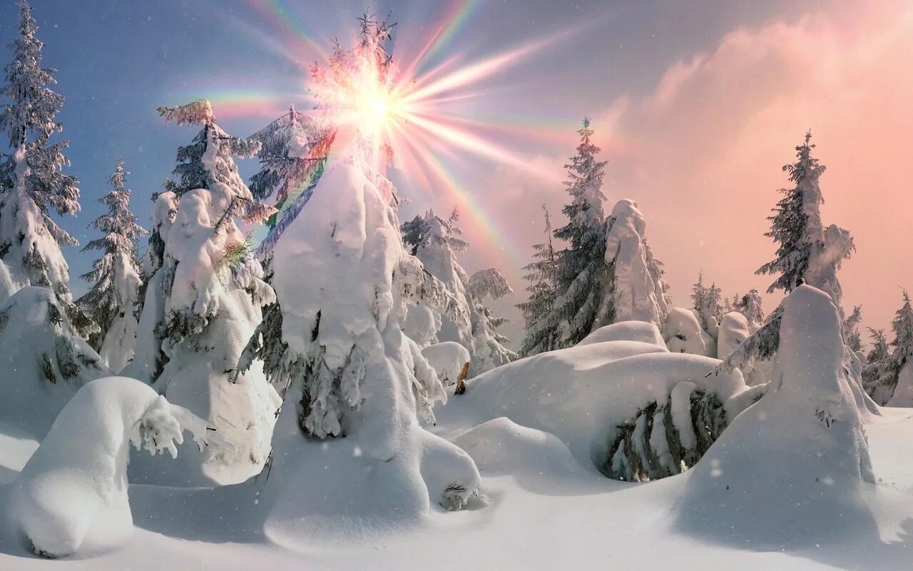 Снежное богатство. Сказочный зимний лес. Зима солнце. Волшебный зимний лес. Сказочный лес зимой.