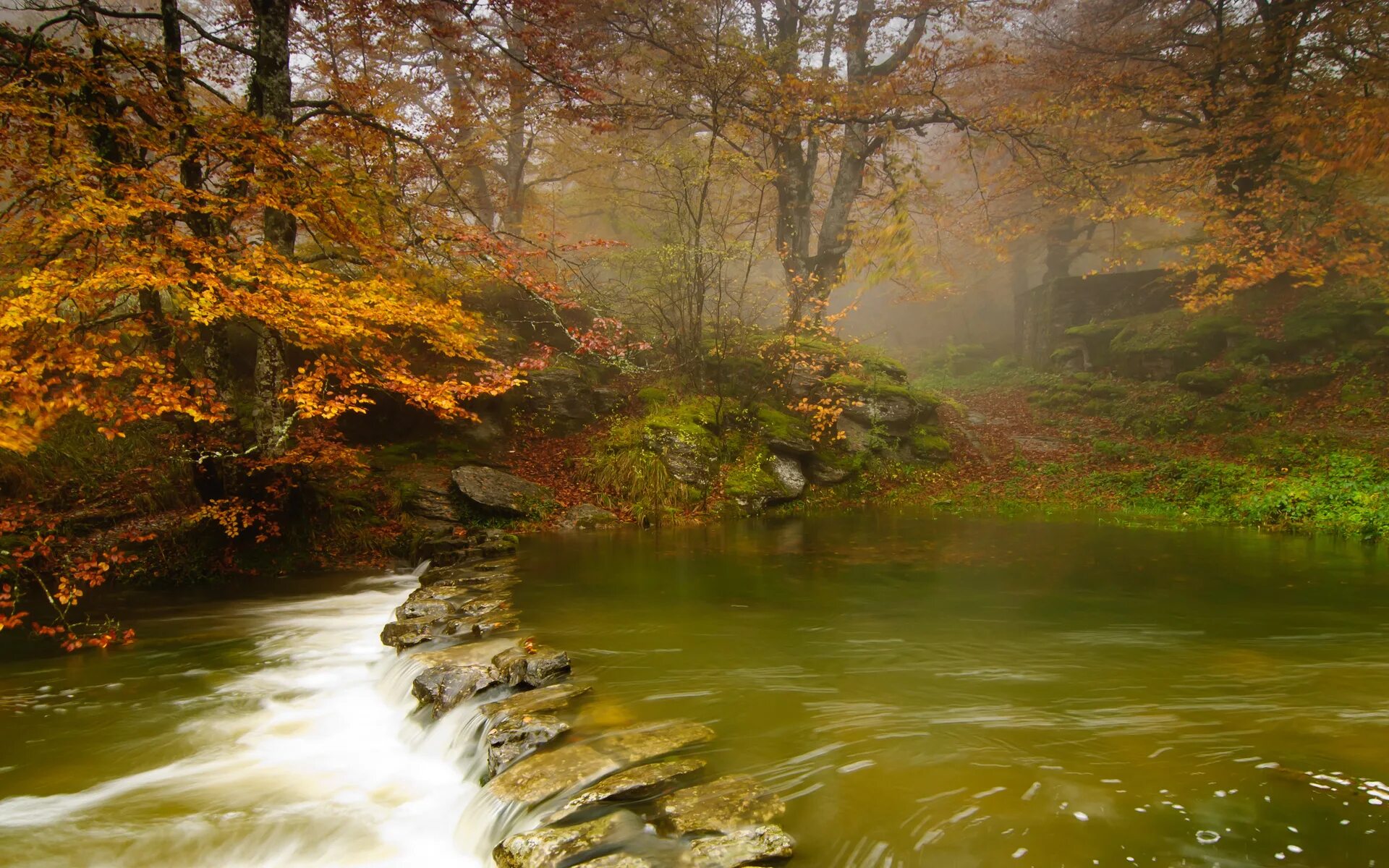 Река в осеннем лесу. Река осенью. Осень речка. Осень река красиво. Осень лес река.