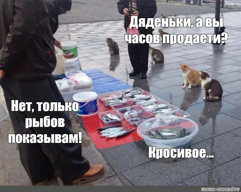 Рыбу продаете нет показываю красивое. Мем мистер рыбка. рыбов продаете мем. вы рыбу продаете. рыбов продаете мем оригинал картинки.