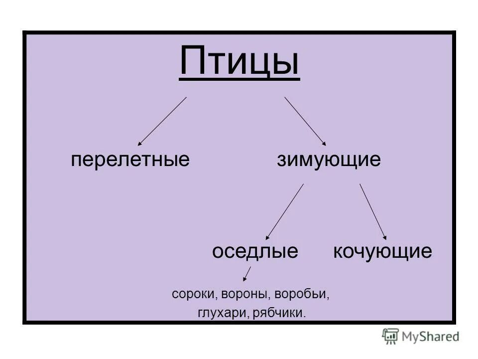 Оседлые это какие