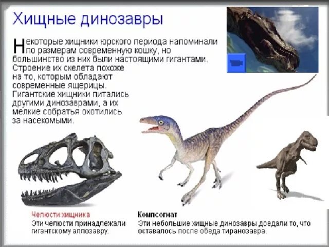 Как назывались маленькие динозавры