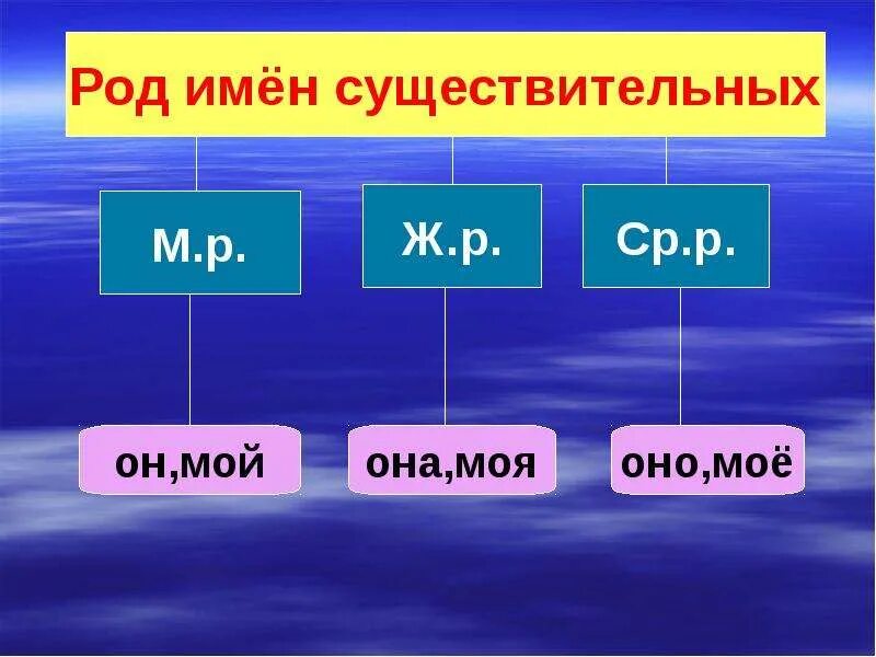 Кругом какой род. Род имен существительных. Род имен сущ. Од имен существительных. Родименсущесвительных.