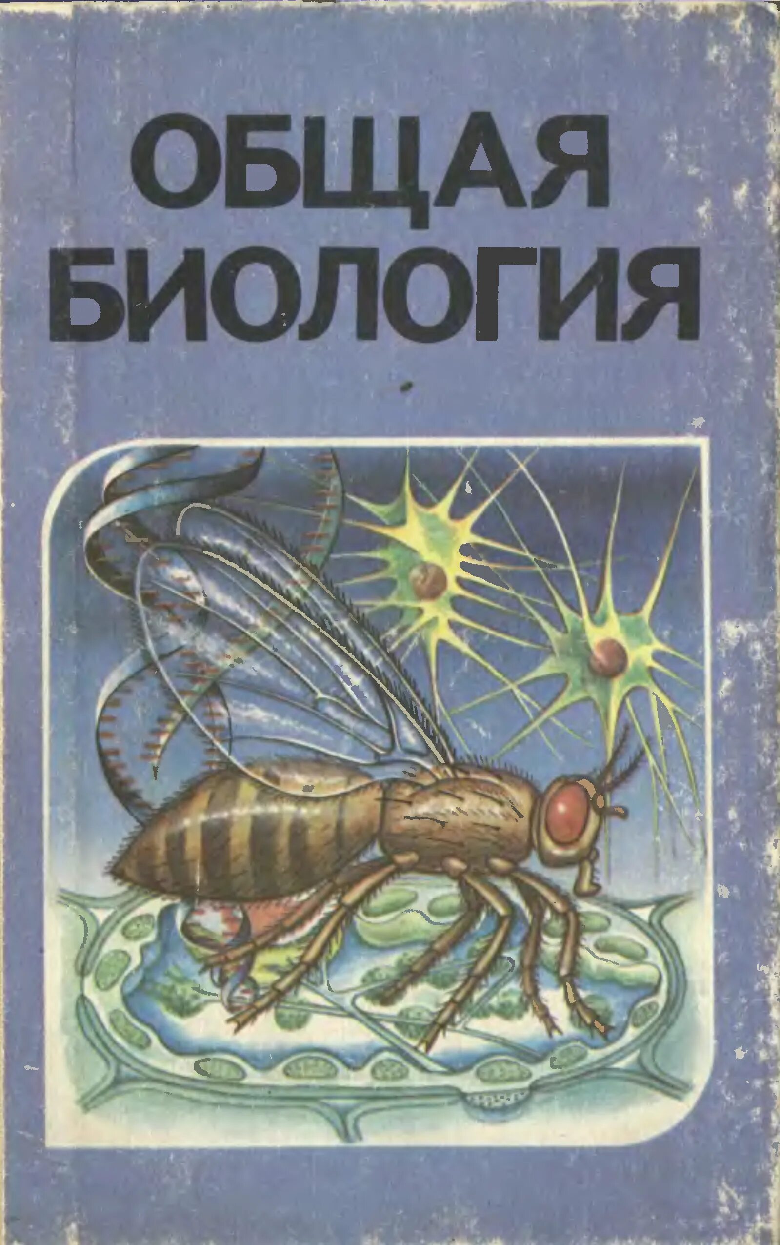 Биология 11 беляев читать. Общая биология Рувинский 1993. Биология 10-11 Беляев. Рувинский Беляев биология 10-11 класс. Общая биология для 10-11 классов. Д. К. Беляев. — 1991 Г..