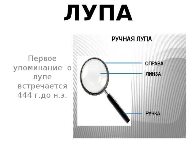 Рассмотрите с помощью лупы. Строение лупы. части лупы ручной. строение лупы 5 класс. строение микроскопа и штативной лупы.