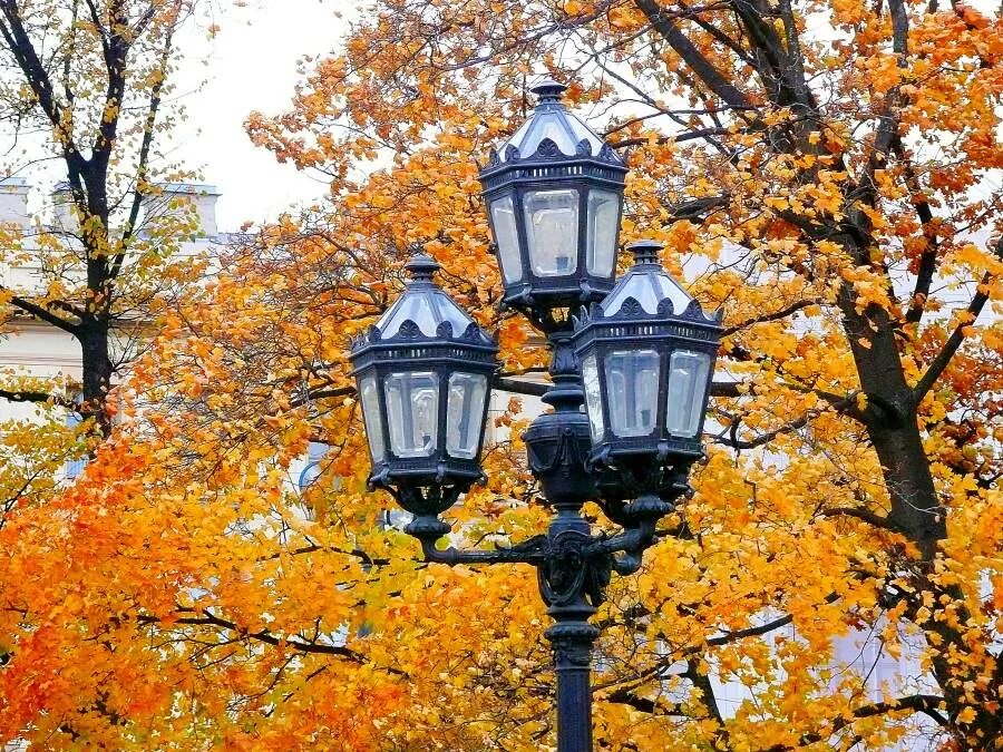 Вечерние фонари. Осень вечер. Осень вечер. Фонарь листопад. Фонарь листопад.