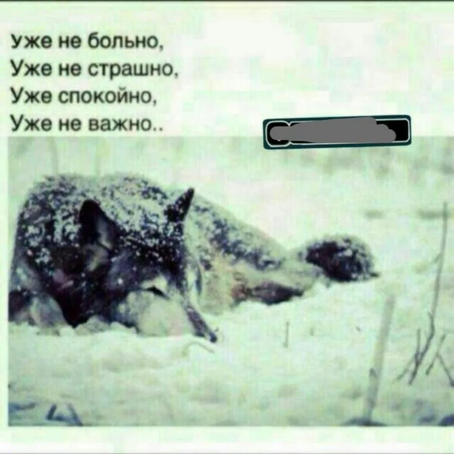 Не больно. Уже не больно уже не страшно. Уже не больно уже не важно. Больно не больно страшно не страшно. Уже не страшно уже спокойно уже не важно.