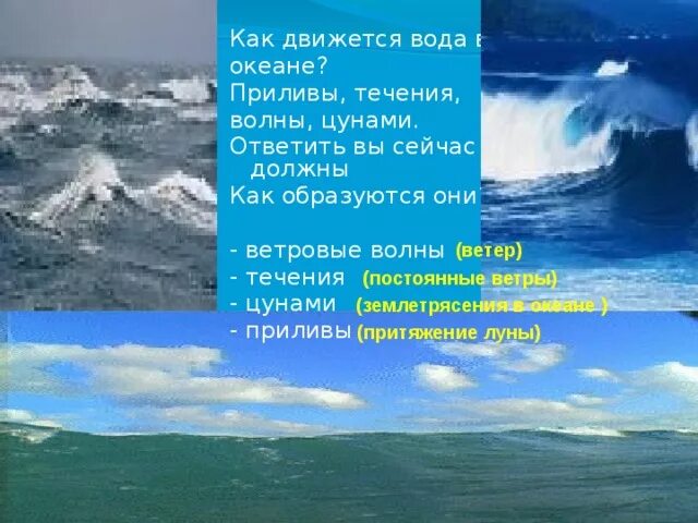 Как движется вода в океане. Ветровые волны, ЦУНАМИ, 6 класс. Ветровые волны 6 класс. Сравнение ветровых волн и ЦУНАМИ. Почему вода движется