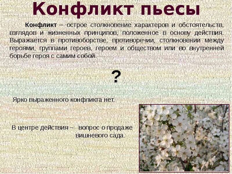 Конфликт пьесы вишневый сад. Основной конфликт пьесы вишневый сад. Конфликт в Вишневом саде Чехова. Своеобразие конфликта в пьесе вишневый сад. Чехов вишневый сад конфликт пьесы