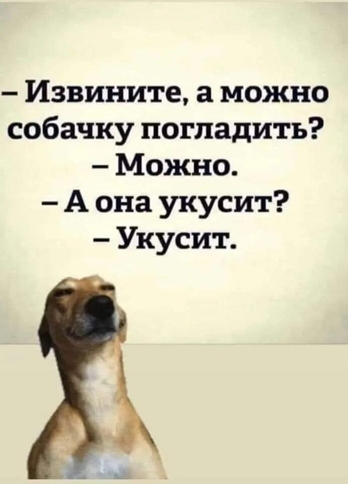 Попросил погладить. Можно собачку погладить. Можно погладить Вашу собаку. А можно собачку погладить можно а она не укусит. Извините а можно собачку погладить.