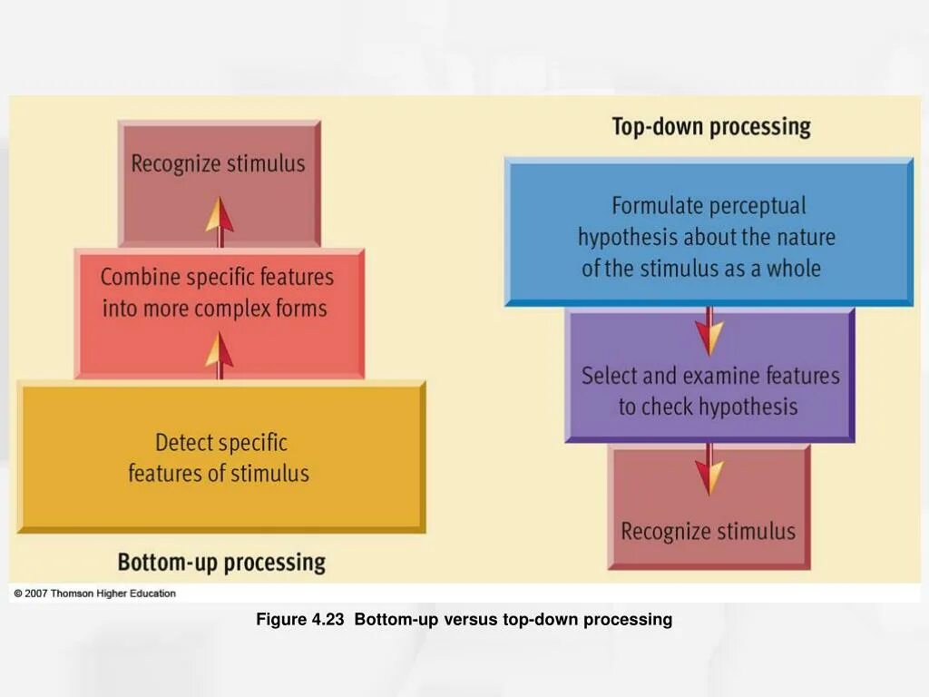 Specific features are