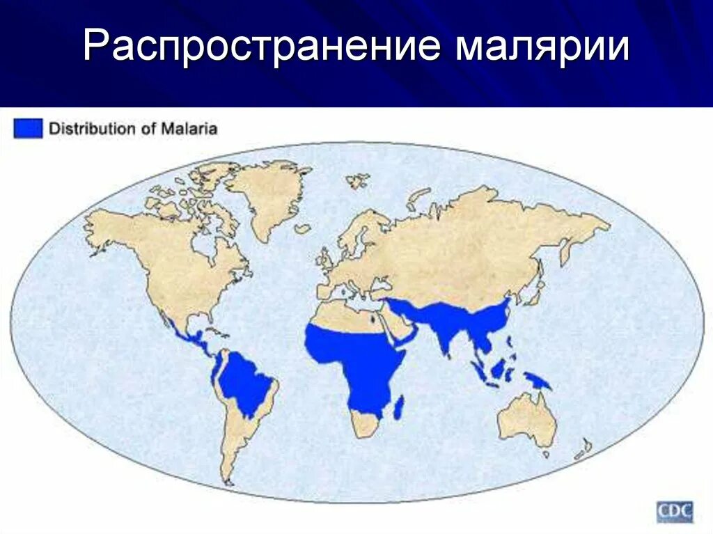 Распространение малярии. Географическое распространение малярии. Карта распространения малярии. Малярия ареал распространения. Географическая распространенность малярии.
