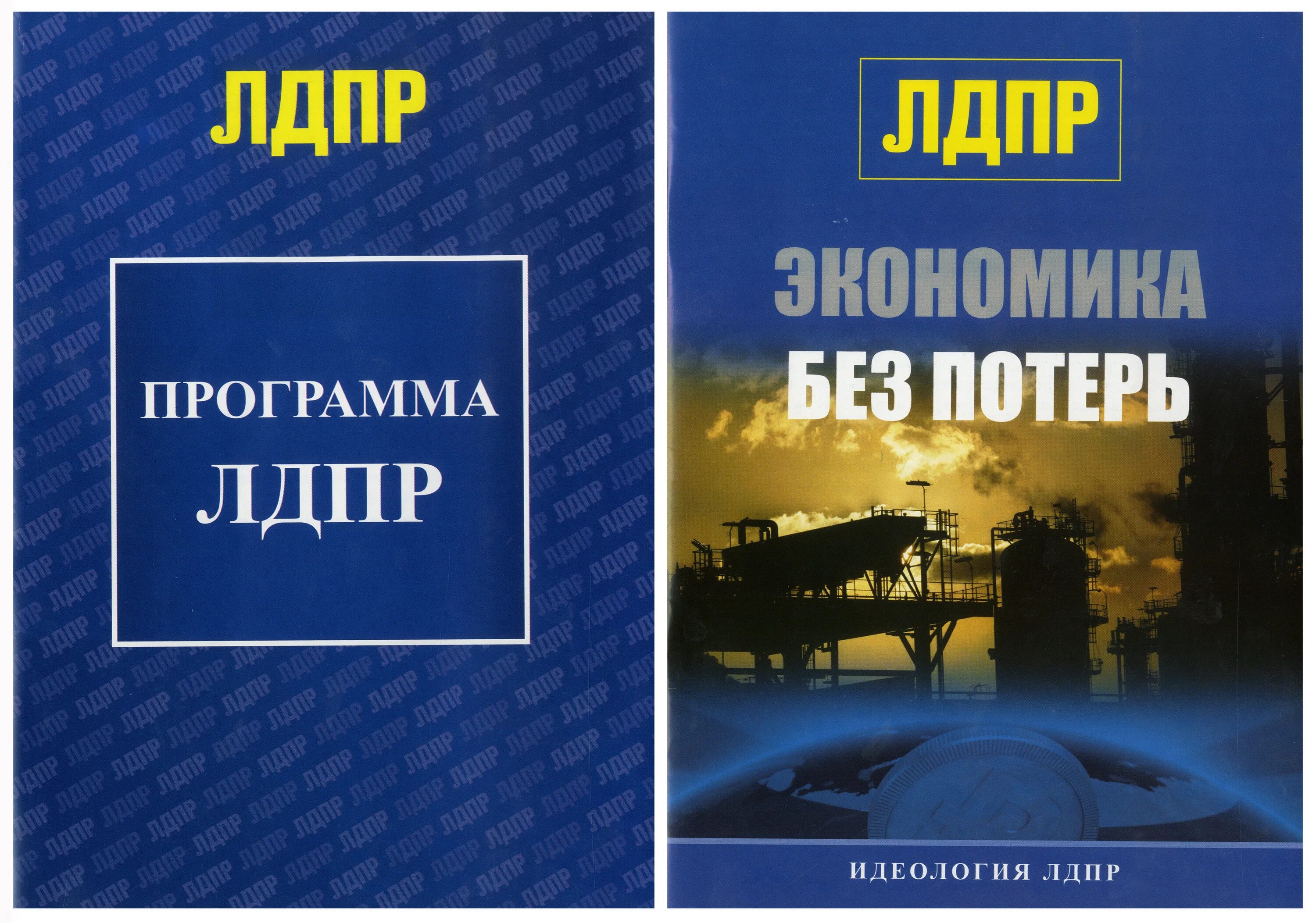 Программа ЛДПР. ЛДПР идеология. Книги ЛДПР. Программа и устав ЛДПР.