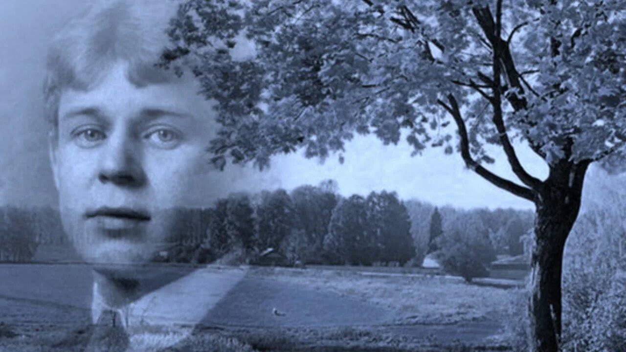 Стихотворение сергея александровича есенина. Есенин романсы. Есенин песня бел. Есенин песня бел. Стихотворение есенина пой же пой.