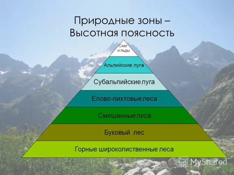 Высотная поясность россии 8 класс география