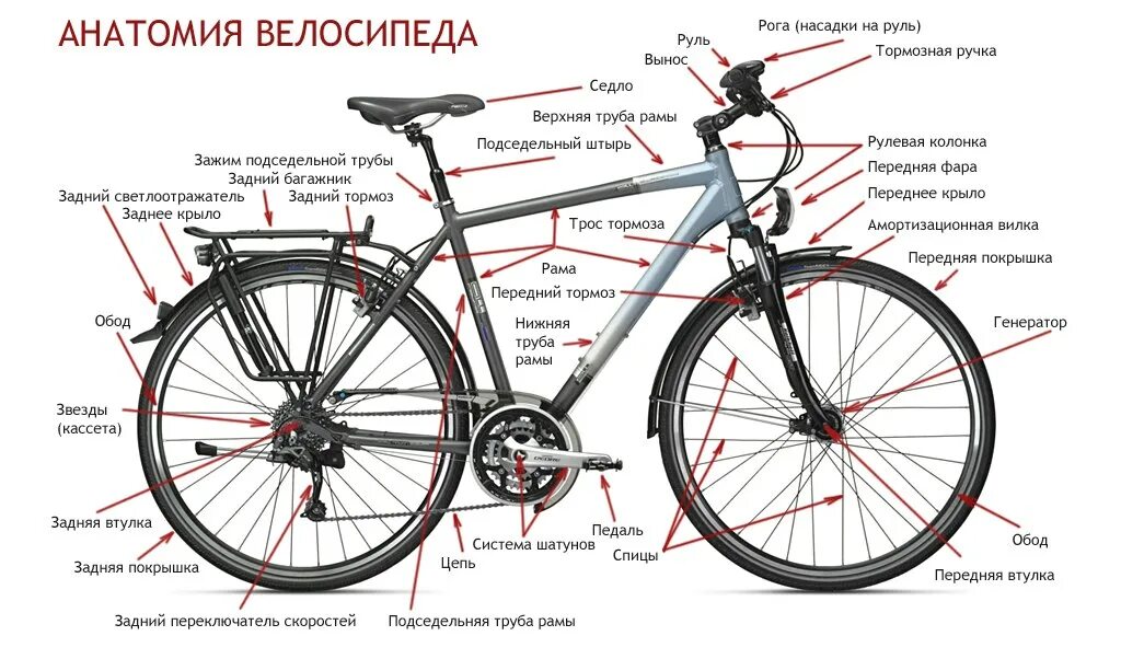 Составные части велосипеда стелс. Устройство скоростного велосипеда схема. Анатомия шоссейного велосипеда. Строение шоссейного велосипеда.