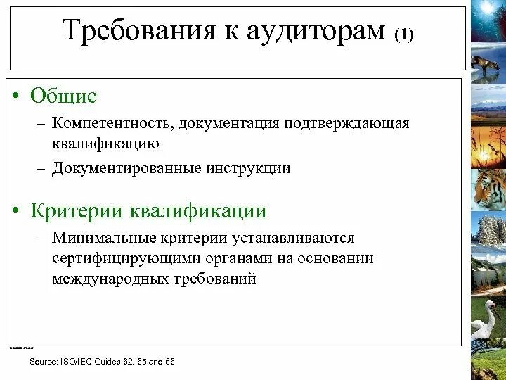 Требования к аудиторским организациям. Требования к аудитору. Требованиямк аудитору. Требования предъявляемые к аудиторам. Требования независимости аудитора.