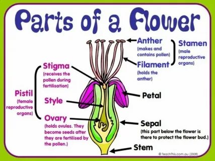 Below parts