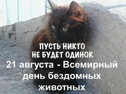 Котором также никого не было