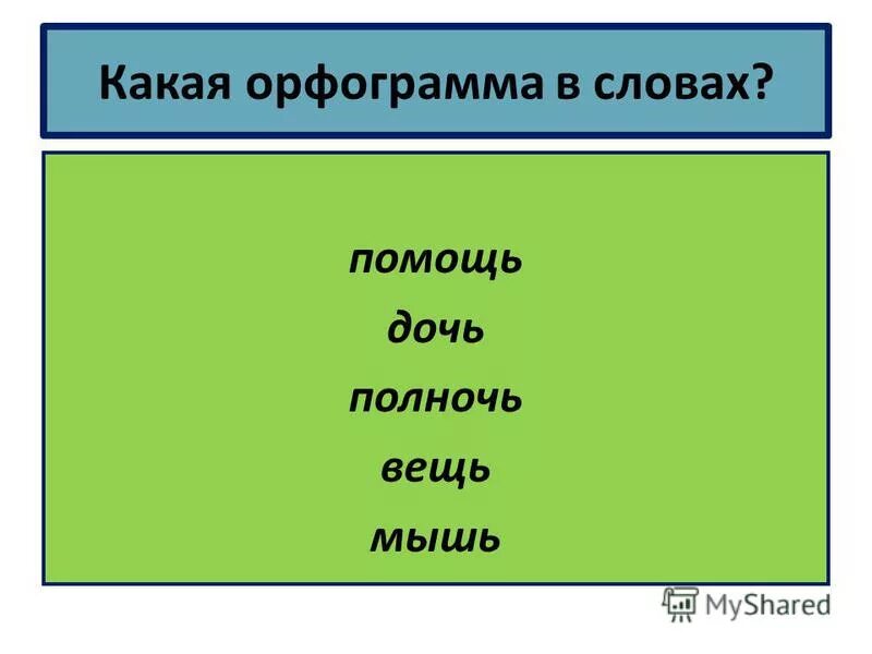 Кошка есть орфограмма. Кошка есть орфограмма