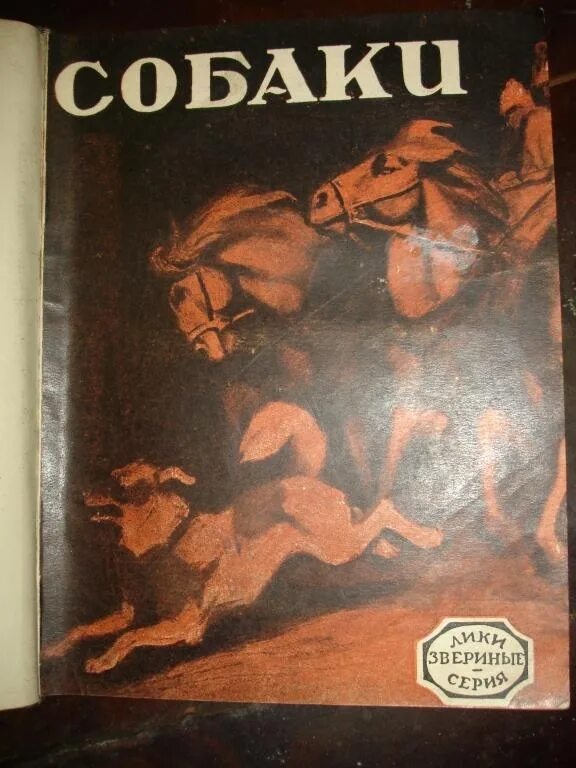 Звериные 3. Лисы лики звериные. звериный лик.