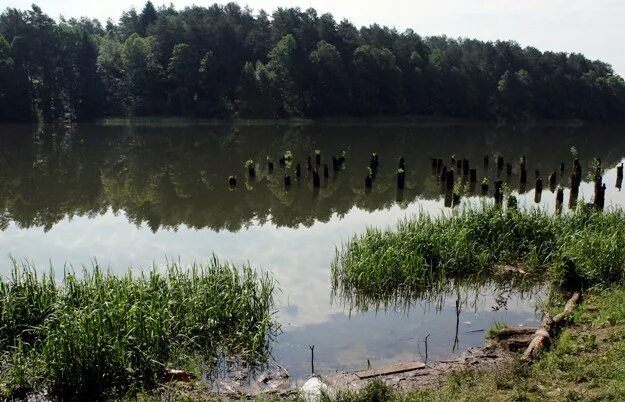 Святое болото. Болото водохранилище. Святое болото и Николо-остров. Реки озера водохранилища болота Новосибирской.