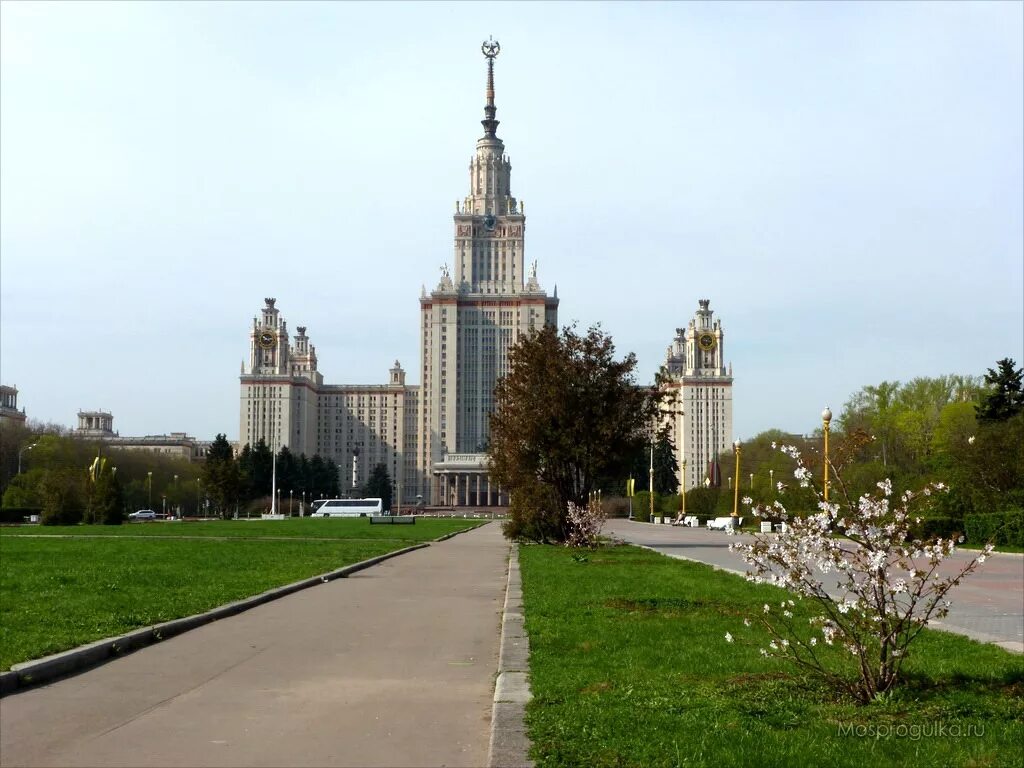 Мгу весной. МГУ Воробьевы горы. Сакура МГУ Воробьевы горы. Аллея Сакуры МГУ. Парк Воробьевы горы МГУ.