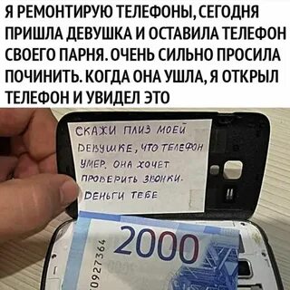 Мужская солидарность что это