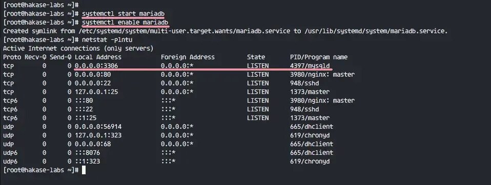 Systemctl start. Systemctl Linux. Как установить nginx на Centos 7. Скрин nginx php-info 8.1. Nginx 401.