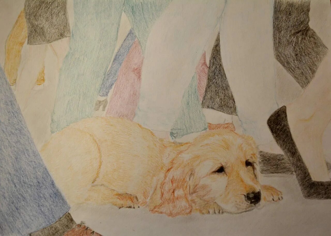 конкурс мы в ответе кого приручили. на тему мы в ответе за тех кого приручили. мы в ответе за тех кого приручили конкурс фотографии. конкурс мы в ответе кого приручили. фотоколлаж мы в ответе за тех кого приручили.