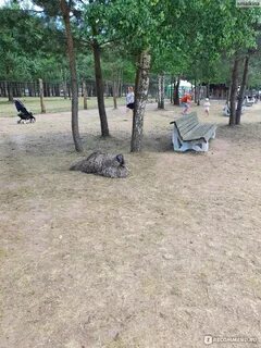 Парк в барановичах